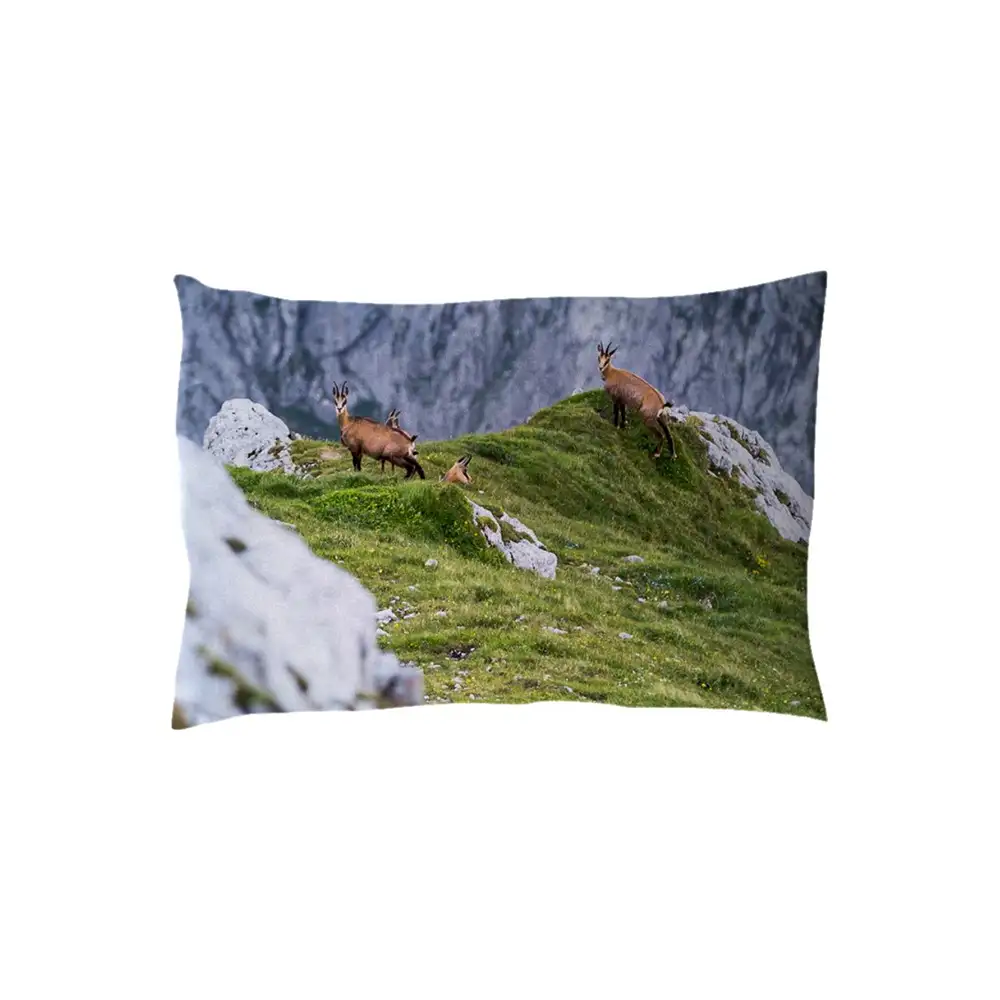 Gämse Zirbenkissen 30cm x 20cm